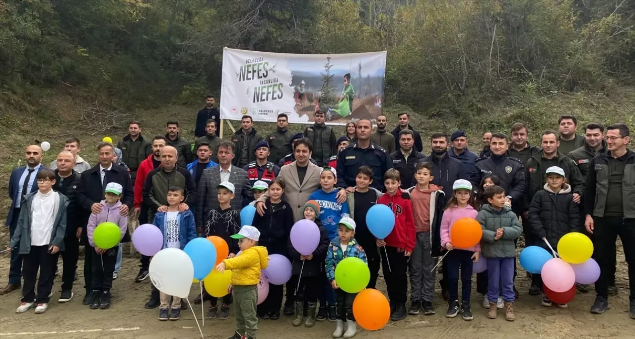 Sinop’ta Fidan Dikim Etkinlikleri